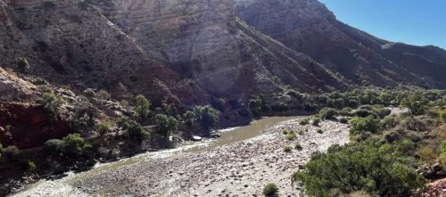 cabecera3